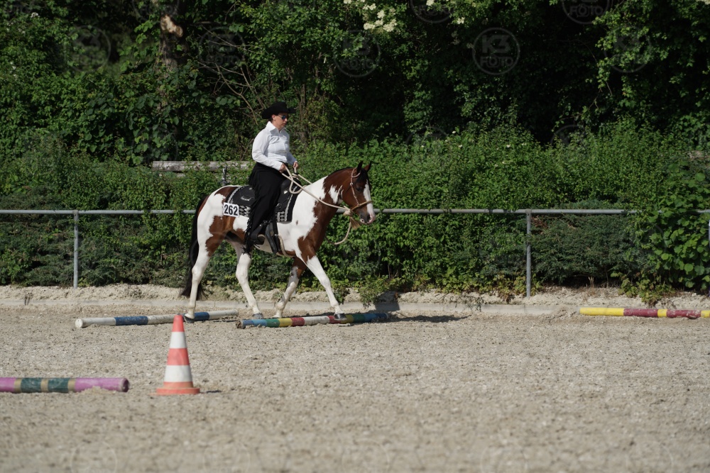 s_APF06671.jpg